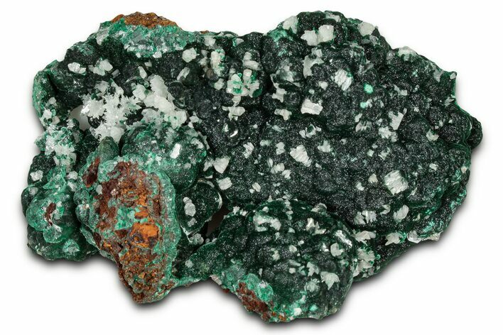 Sparkling Cerussite Crystals on Botryoidal Malachite - Congo #326847